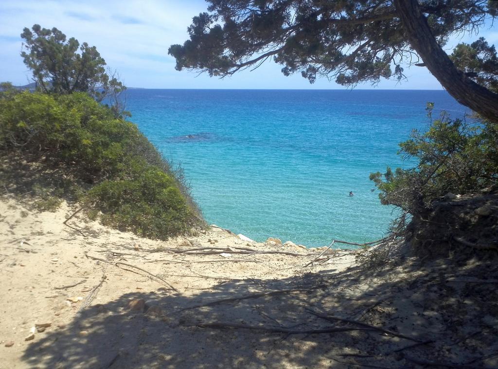 San Gregorio  B&B La Quercia المظهر الخارجي الصورة