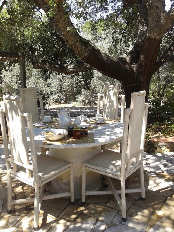 San Gregorio  B&B La Quercia المظهر الخارجي الصورة