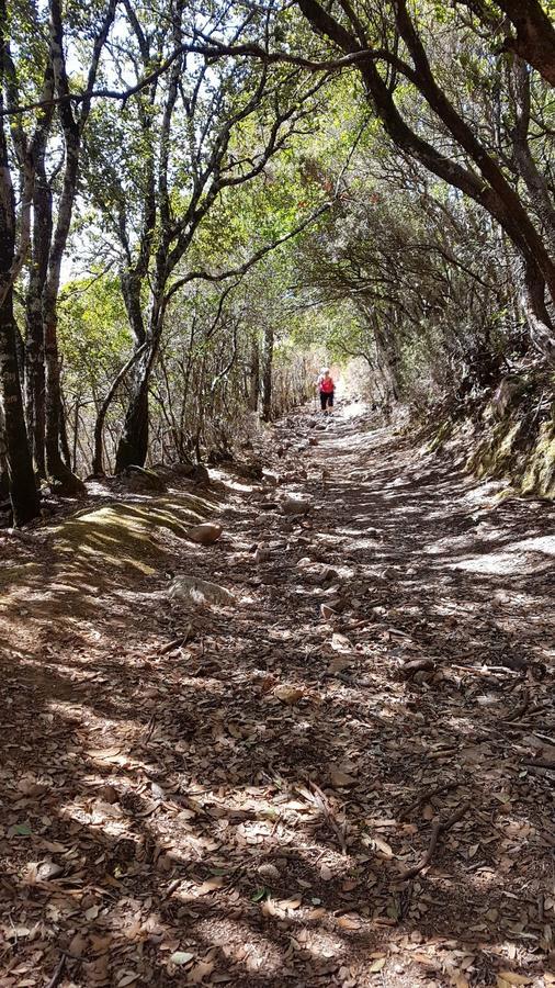 San Gregorio  B&B La Quercia المظهر الخارجي الصورة